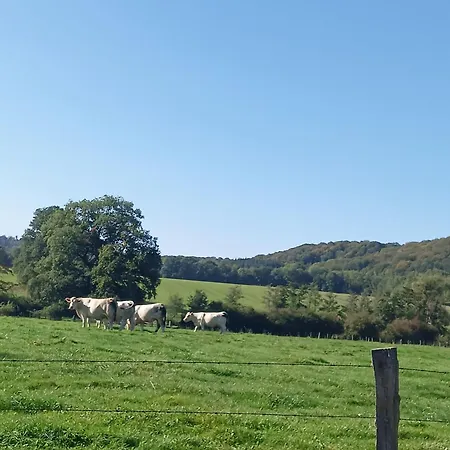 Alloggio in famiglia Chez Nath Aubréville