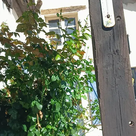 Chez Nath ホームステイ