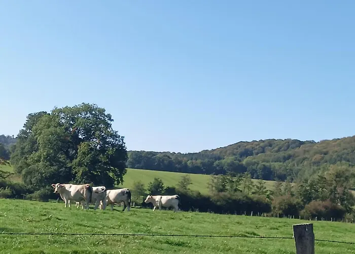 Accommodatie bij particulieren Chez Nath Aubréville