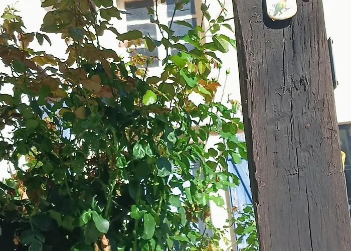 Chez Nath Accommodatie bij particulieren